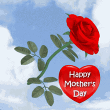 Happy Mothers Day Mothers Day Red Rose GIF - Happy Mothers Day Mothers Day Red Rose Red Rose For Mum GIFs