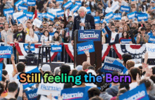 Still Feeling The Bern Bernie2020 GIF - Still Feeling The Bern Bernie2020 Usa GIFs