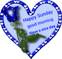 Happy Sunday Good Morning Sticker - Happy Sunday Good Morning Have A Nice Day Stickers
