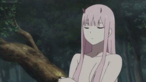 zero two darling in the