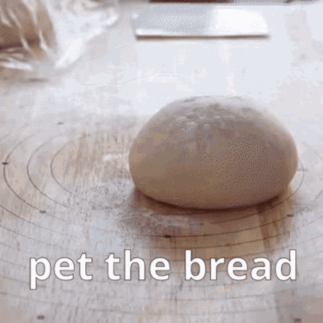 Pet The Bread GIF - Pet The Bread GIFs