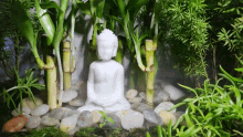 Buddha Terrarium GIF - Buddha Terrarium GIFs