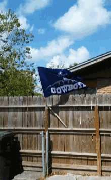 cowboys flag
