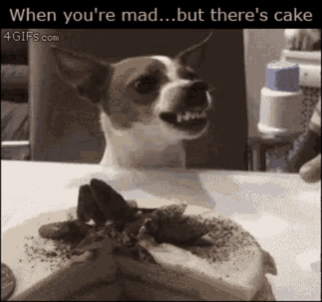 Mad Dog GIF - Mad Dog Cake - Discover & Share GIFs