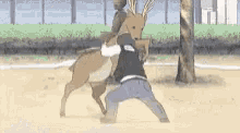 deer body slam wrestle anime