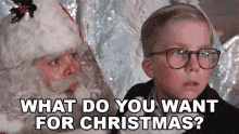 What Do You Want For Christmas Ralphie GIF - What Do You Want For Christmas Ralphie Santa Claus GIFs