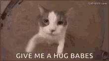 Give Me A Hug GIFs | Tenor