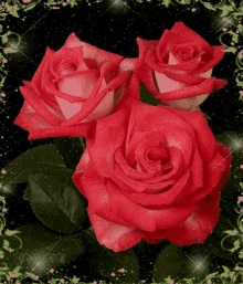 Love You Roses GIF - Love You Roses Rose GIFs