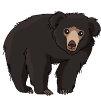 Bear Sloth Bear Sticker - Bear Sloth Bear Stickers