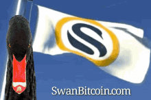 Swan Bitcoin Crypto GIF - Swan Bitcoin Swan Bitcoin GIFs