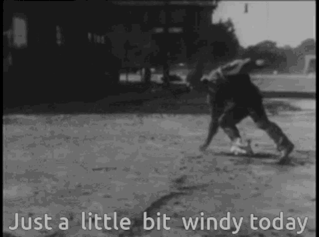 Windy Meme GIF