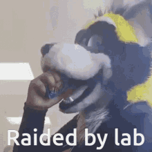 Raided By Lab GIF - Raided By Lab GIFs