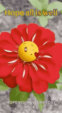 hope all is well greeting emoji flower kisses