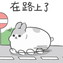 rabbit cute