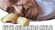Five Seconds Rule Ricky Berwick Sticker - Five Seconds Rule Ricky Berwick Still Okay To Eat Stickers