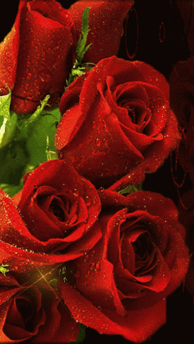 Glittering Bunch Roses Glitter GIF - Glittering Bunch Roses Glitter Dew ...