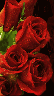 Glittering Bunch Roses Glitter GIF - Glittering Bunch Roses Glitter Dew Red Roses GIFs