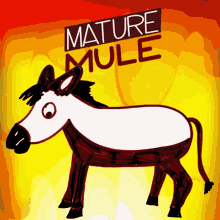 mature mule veefriends sensible responsible wise