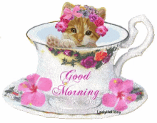 Good Morning Cup GIF - Good Morning Cup Cat GIFs