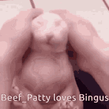 Beef Patty Bingus GIF - Beef Patty Bingus Beef Bingus GIFs
