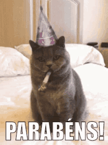 Aniversário Parabéns Gato Felizaniversário GIF - Birthday Congratulations Cat GIFs