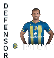 Defensor Diego Novaretti Sticker - Defensor Diego Novaretti Liga Profesional De Fútbol De La Afa Stickers