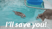 I'Ll Save You! GIF - Illsaveyou Rescue Swim GIFs