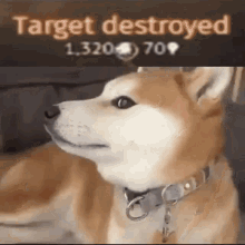 Target Destroyed War Thunder GIF - Target Destroyed War Thunder Dog GIFs