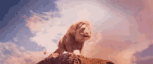 Aslan Narnia GIF - Narnia Aslan Lion GIFs