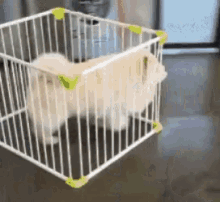 Funny A Nimals Dogs GIF - Funny A Nimals Dogs Cage GIFs