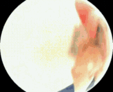 sphere money cash