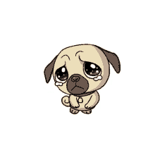 Pleading Pug GIF - Pleading Pug Sad GIFs