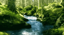 Natureza Stream GIF - Natureza Nature Stream GIFs
