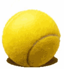 tennis ball chick yellow weird yellow chick