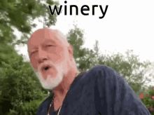 Winery Wrong GIF - Winery Wrong Not True GIFs