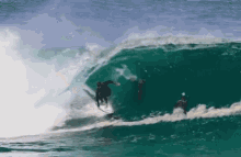 Dog Surf GIF - Dog Surf GIFs