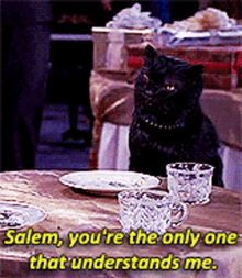 Salem Saberhagen Salem The Cat GIF - Salem Saberhagen Salem The Cat Sabrina The Teenage Witch GIFs