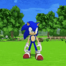 Sonic The Hedgehog GIF - Sonic The Hedgehog - Discover & Share GIFs