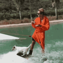 water skiing chilling tea drink dog