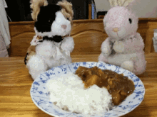 bunny curry eating
