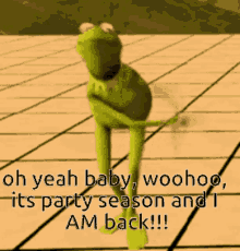 Party Im Back Baby GIF - Party Im Back Baby Woohooo GIFs