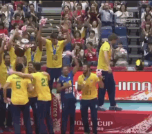 Team Brasil Volley GIF - Team Brasil Volley Volleyball GIFs
