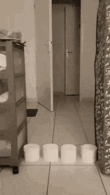 Toilet Paper Tissue GIF - Toilet Paper Tissue Cat GIFs