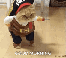 Pirate Cat GIF - Pirate Cat Creeping GIFs