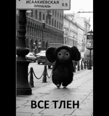 sad vse tlen lol cheburashka sad vse tlen lol cheburashka