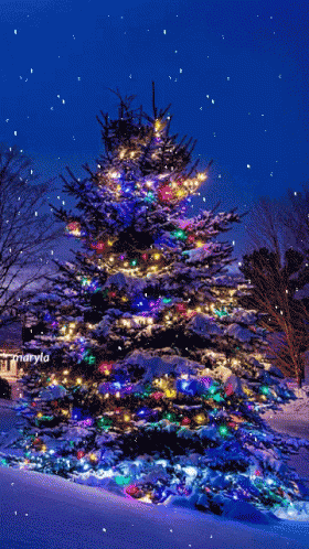 Snow Christmas Tree GIF - Snow Christmas Tree Christmas - Discover & Share  GIFs