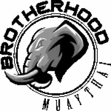 Brotherhood Muay Thai GIF - Brotherhood Muay Thai GIFs