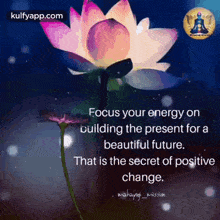 Quote Of The Day.Gif GIF - Quote Of The Day Positive Vibes Be Positive GIFs