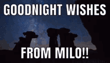 Milo Gn GIF - Milo Gn Goodnight GIFs