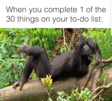 Getting Things GIF - Getting Things Done GIFs